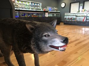 img_1968